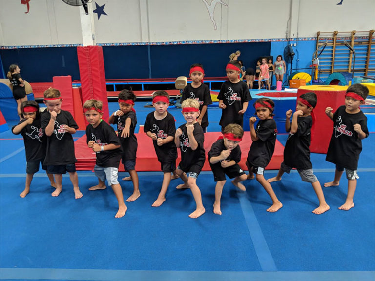 Ninja Stars Program